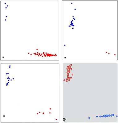 Development and Exploitation of KASP Assays for Genes Underpinning Drought Tolerance Among Wheat Cultivars From Pakistan